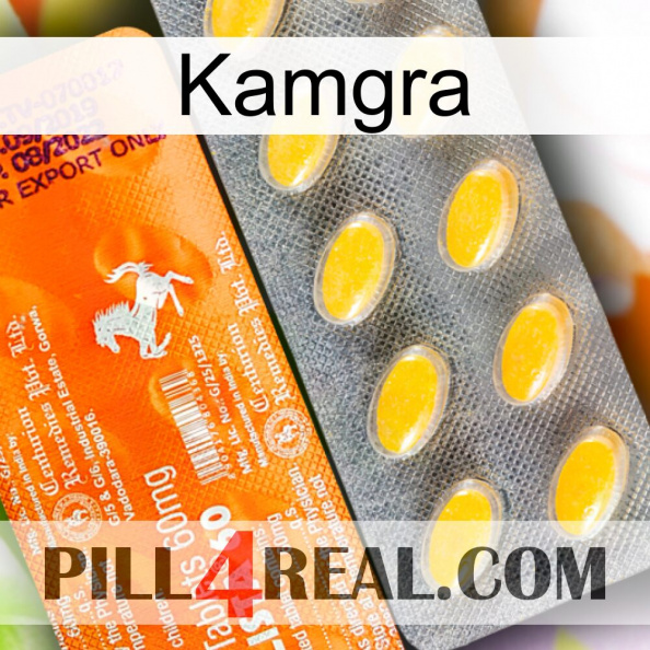 Kamgra new05.jpg